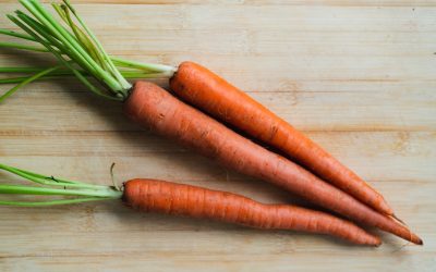 30代以降に摂りたい！健康寿命を延ばすための必須栄養素7選