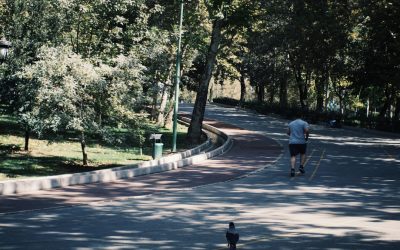 朝ルーティンで人生を変える7つの習慣：2025年の最新トレンドと成功の秘訣