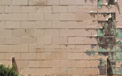 AI時代でもなくならない副業10選：未来を生き抜くための賢い選択