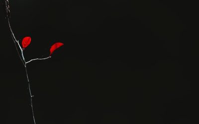 スイングトレードで利益を掴む！2025年最新の市場トレンドと実践戦略 📈