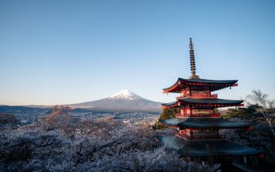 2025年最新版！日本の隠れた美食の旅：地方の絶品グルメと穴場スポットを巡る旅のコツ