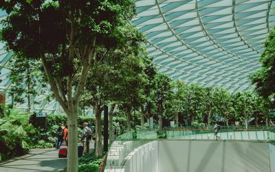 2025年最新版！世界の人気旅行先と美食を巡る旅の秘訣 ✈️🍴