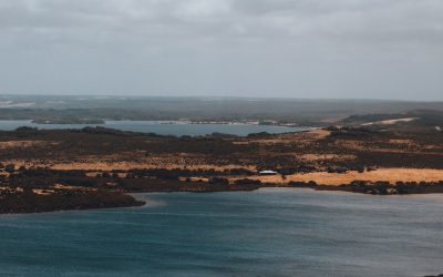 2025年最新版！世界の絶景と美食を巡る旅の秘訣と最新トレンド