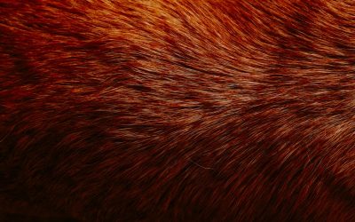 2025年最新版：FXスキャルピングで利益を積み重ねる！成功への実践ガイド