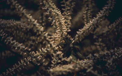 MBTIタイプ別相性：人間関係を円滑にする秘訣を徹底解説！