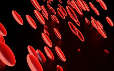 血液型と性格・相性の最新トレンド：科学的根拠と現代の楽しみ方