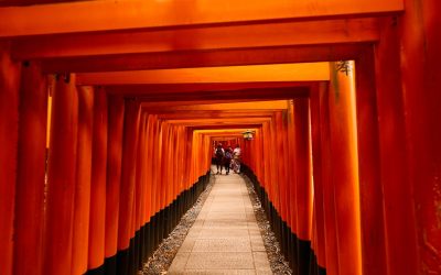 2025年最新版！世界の美食を巡る旅：トレンドと究極のグルメ旅のコツ