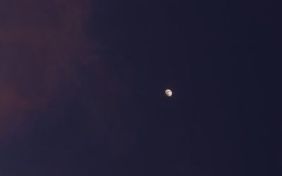 2025年の恋愛を読み解く！西洋占星術で深める相性の秘密と最新トレンド✨