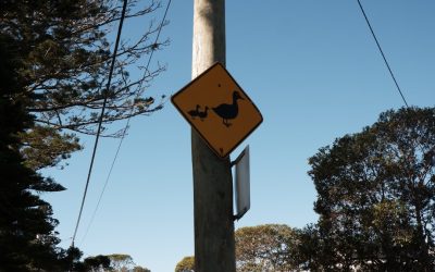 2025-2026年版：世界の人気旅行先と美食を巡る旅の秘訣！✈️🍴