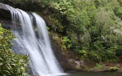 2025年の星占い相性診断：AIと伝統が織りなす現代の恋愛トレンド