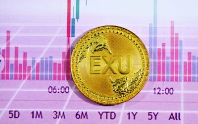 2025年最新版：FXで利益を狙う！トレンドフォロー戦略のすべて