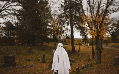 2025年最新版:日本のSNSインフルエンサーとして成功するためのロードマップ