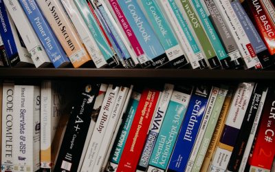 2025年の収益化ブログ戦略:WordPressで成功を掴む最新ガイド