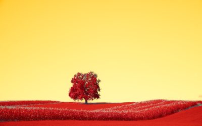 血液型と人間関係：科学的根拠と日本の文化における役割を徹底解説！