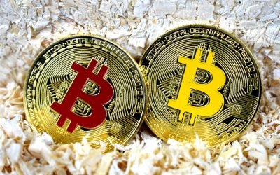 利益を最大化する！暗号資産トレンドフォロー戦略のすべて