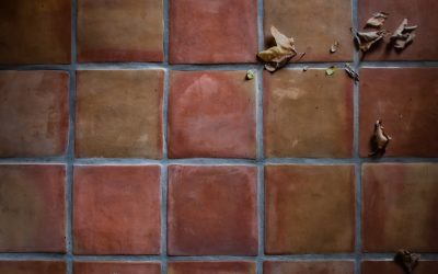 星占いにおける相性診断の最新トレンド：あなたとあの人の運命を読み解く