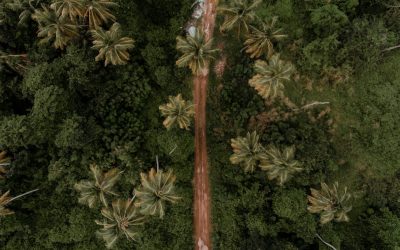 世界の美食を巡る旅！2026年最新トレンドと究極のグルメ旅行術 ✈️