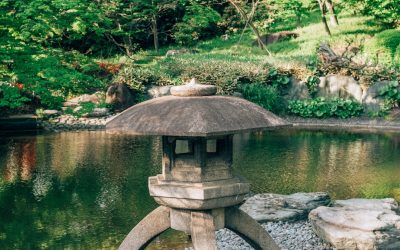 星占いと相性：2026年の人間関係を豊かにするヒント