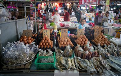 2026年最新トレンド！世界の美食旅と賢い楽しみ方ガイド 🌍🍴