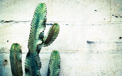 2026年最新版！星占いから読み解く「相性診断」の進化と賢い活用法 ✨