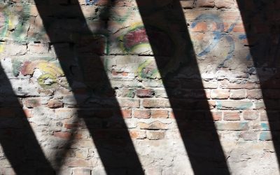 2026年最新版：FXトレンドフォロー戦略で利益を狙う！市場の波に乗るための完全ガイド