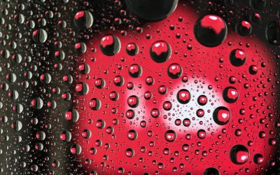 2026年最新版：YouTube、Instagram、TikTokで輝く！次世代インフルエンサーになるための実践ガイド