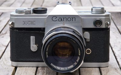 移動平均線でトレンドを掴む！FX順張り戦略で利益を狙う最新ガイド