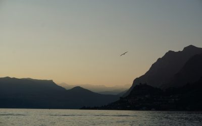 MBTIと恋愛相性：タイプ別で見る理想の関係性を見つけるヒント💕