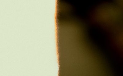 MBTIで深める人間関係：相性から理解へ、より良い繋がりを築く秘訣