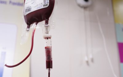 血液型と相性：日本の最新トレンドと人間関係を円滑にするコミュニケーション術