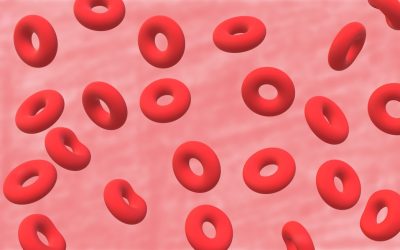 血液型と性格：科学的根拠と日本の文化トレンドを徹底解説！