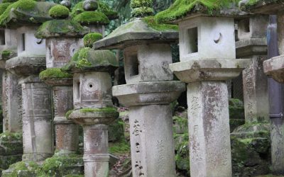 2026年最新版！星占いで読み解く「恋愛相性」の秘訣と現代の活用法 ✨