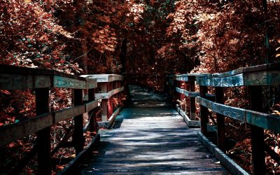 2026年最新版！利益を狙うスイングトレード戦略のすべて