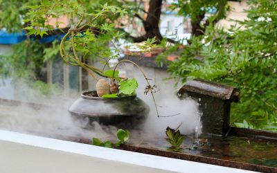 占星術で読み解く！2026年最新版「相性占い」で深める人間関係の秘訣