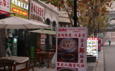 2026年最新版！世界の美食と絶景を巡る旅の究極ガイド