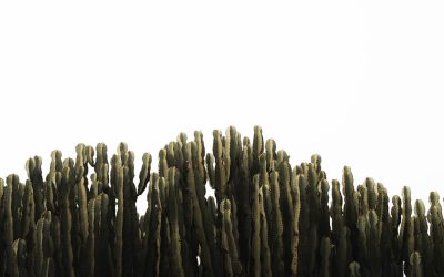 MBTI相性：誤解を解き、より良い人間関係を築くための活用術