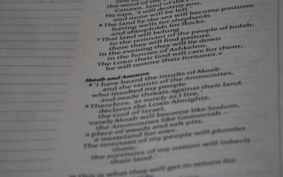 MBTI(16Personalities)における相性の真実:タイプ別の関係性とその活用法 💖