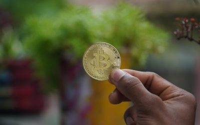 変動の激しい暗号資産市場で賢く利益を狙う!ドルコスト平均法を徹底解説 📈