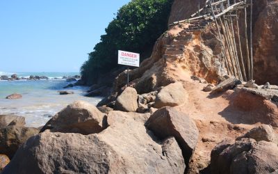 世界の美食旅:2026年最新トレンドと究極の旅の秘訣