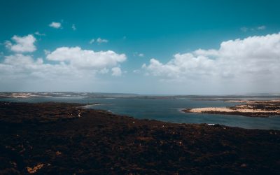 2026年最新版！世界の美食と旅のトレンドを徹底解説！究極のグルメ旅を楽しむ秘訣