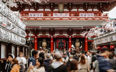 日本の血液型性格診断と相性：2026年の最新トレンドと人間関係への影響