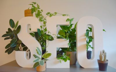 2026年最新版!Google検索でブログ記事を上位表示させる完全ガイド