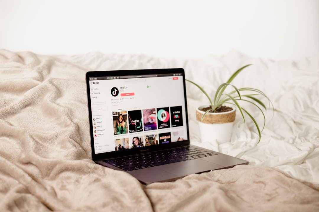 2026-sns-youtube-instagram-tiktok-facebook-1784572987112