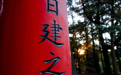 日本の「血液型と相性」:科学的根拠を超えた文化の魅力とブラハラ問題 🇯🇵