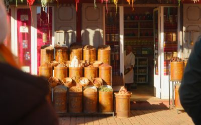 「食」で世界を巡る！2026年最新版：絶景と美食を味わい尽くす旅のコツ 🌍✈️