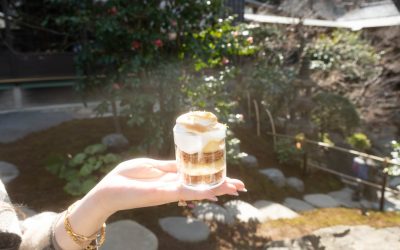世界の美食と旅の秘訣:2026年最新トレンドと絶品グルメを巡る旅